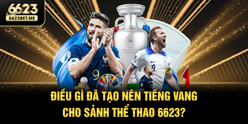 dieu-gi-da-tao-nen-tieng-vang-cho-sanh-the-thao-6623